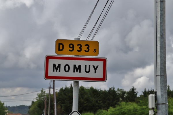 Photo Momuy - momuy (40700)