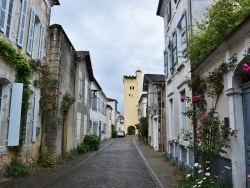 Photo paysage et monuments, Montaut - la commune