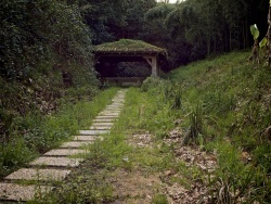 Photo paysage et monuments, Montfort-en-Chalosse - Lavoir et fontaine des 100 marches