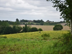 Photo paysage et monuments, Ossages - la commune