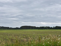 Photo paysage et monuments, Saint-Étienne-d'Orthe - la commune