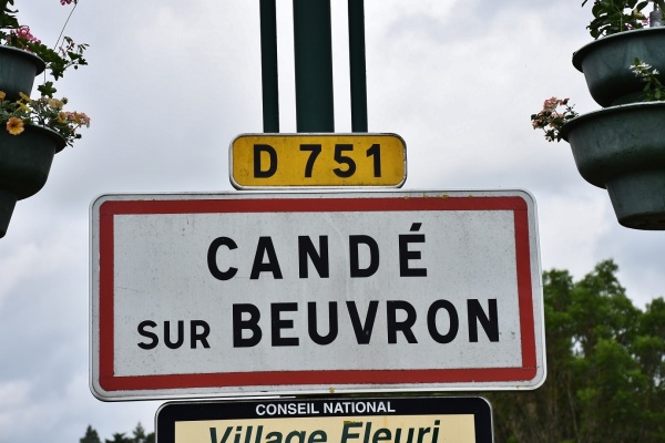 Photo Candé-sur-Beuvron - Candé sur Beuvron (41120)