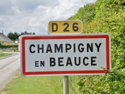 Photo paysage et monuments, Champigny-en-Beauce - champigny en beauce (41330)