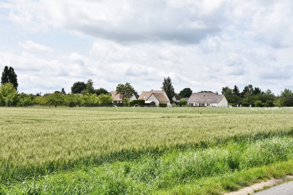 Photo Champigny-en-Beauce - La Campagne