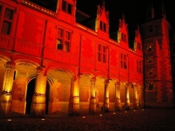 Photo paysage et monuments, Cheverny - CHATEAU DE BLOIS