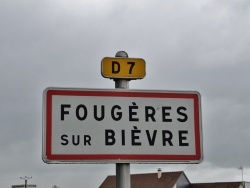 Photo paysage et monuments, Fougères-sur-Bièvre - fougées sur biévre (41120)