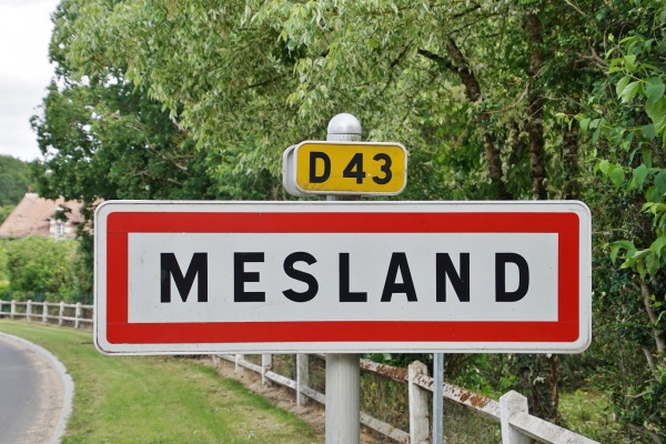 Photo Mesland - mesland (41150)