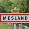 mesland (41150)