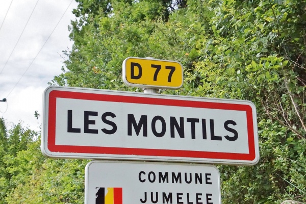 Photo Les Montils - les Montils (41120)