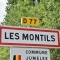 Photo Les Montils - les Montils (41120)