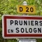 Photo Pruniers-en-Sologne - pruniers en sologne (41200)