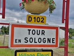 Photo paysage et monuments, Tour-en-Sologne - tour en sologne (41250)