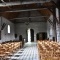 Photo Tour-en-Sologne - église Saint Etienne