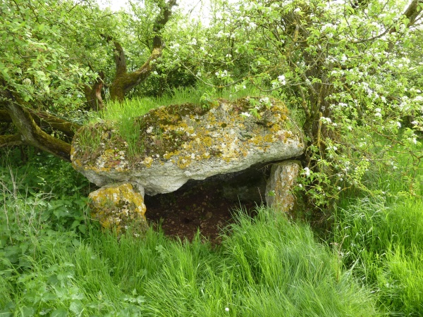 Photo Tripleville - dolmen de la rousseliere