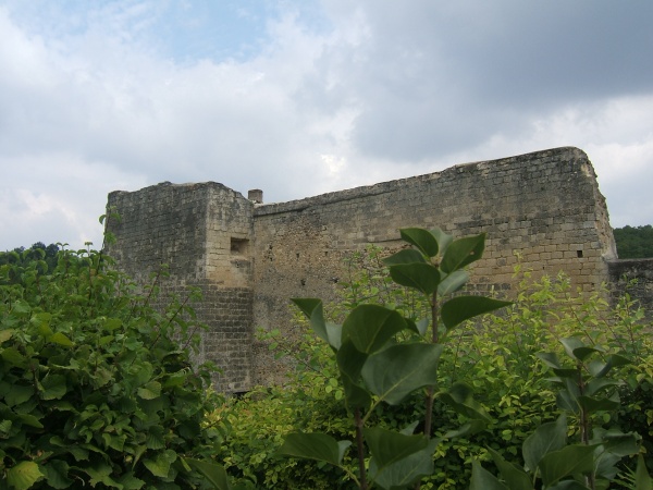 Photo Villedieu-le-Château - Ancienne forteresse