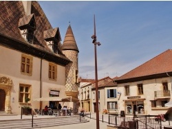 Photo paysage et monuments, La Pacaudière - La Commune