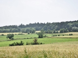 Photo paysage et monuments, Blanzac - la nature