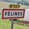 Photo Félines - felines (43160)