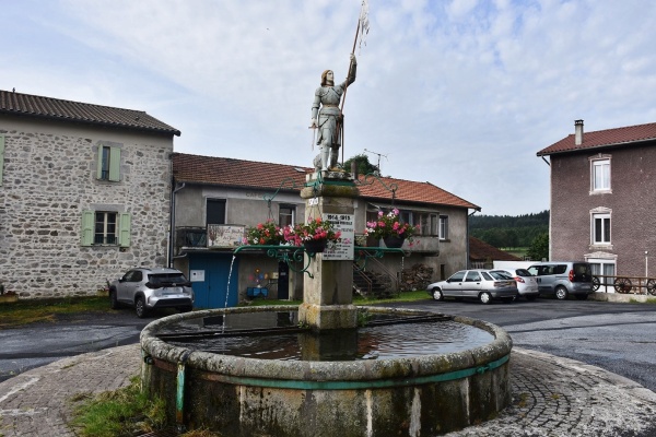 Photo Félines - la fontaine