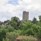 Photo Roche-en-Régnier - le château