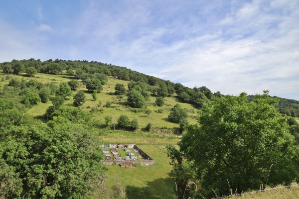 Photo Saint-Austremoine - la nature