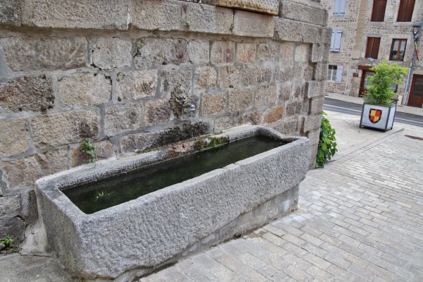 Photo Saint-Pal-de-Chalencon - la fontaine