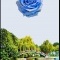 Photo Briare - Briare Loiret:La rose bleue,étude pour mosaïque.