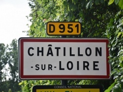 Photo paysage et monuments, Châtillon-sur-Loire - châtillon sur loire (45360)