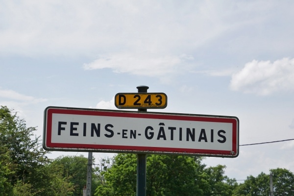 Photo Feins-en-Gâtinais - felins en gatinais (45230)
