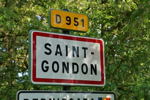 Photo Saint-Gondon - saint gondon (45500)