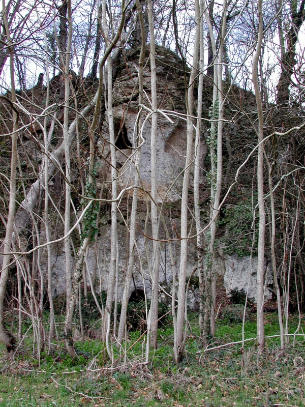 Photo Bajamont - La Grande Face