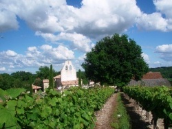 Photo paysage et monuments, Savignac-de-Duras - L' église Saint Vincent