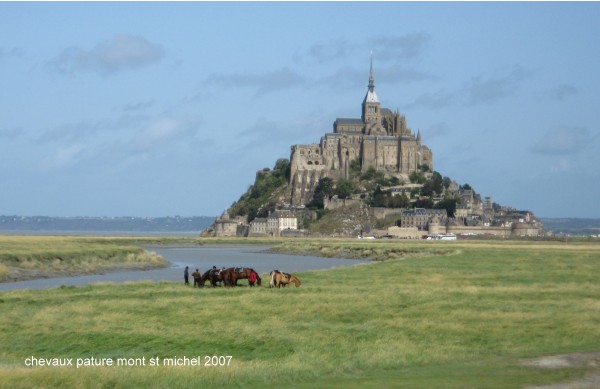 Photo Le Mont-Saint-Michel - groupe de chevaux dans la baie