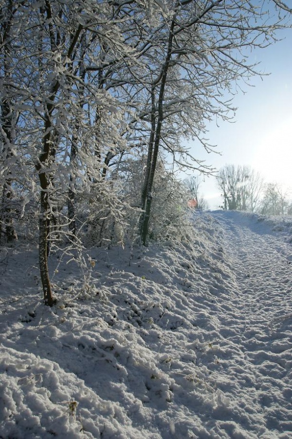 Photo Baslieux-lès-Fismes - Brillance neigeuse