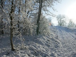 Photo paysage et monuments, Baslieux-lès-Fismes - Brillance neigeuse
