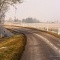 Photo Aillianville - Un matin de Février le givre sur les plantes au bord de la route.
