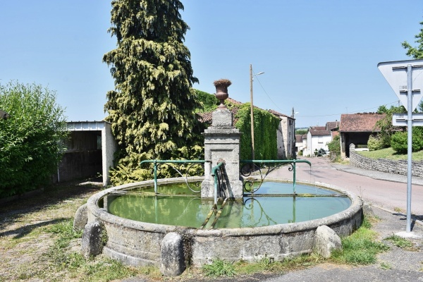 Photo Fresnes-sur-Apance - la fontaine