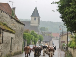 Photo paysage et monuments, Rennepont - le village