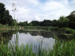Photo paysage et monuments, Ippécourt - Coin d'un étang
