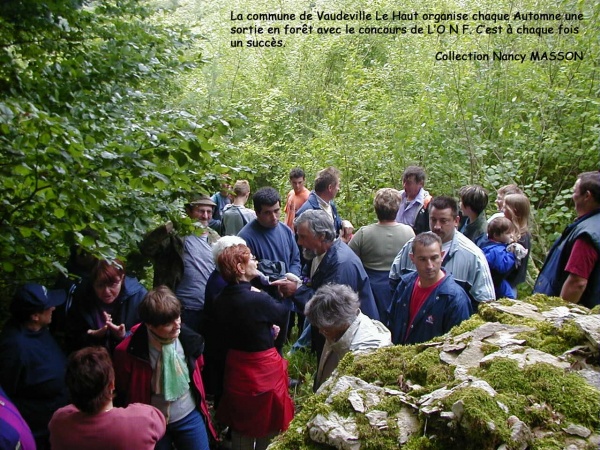 Sortie organisée chaque année avec le concours de l'O N F