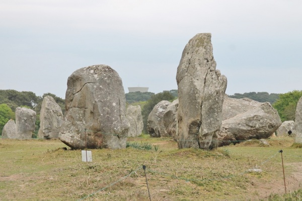 Photo Carnac - Les Menhir carnac (56340)