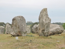 Photo paysage et monuments, Carnac - Les Menhir carnac (56340)