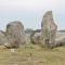 Photo Carnac - Les Menhir carnac (56340)