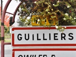Photo paysage et monuments, Guilliers - guilliers (56800)