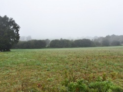 Photo paysage et monuments, Lanouée - le village