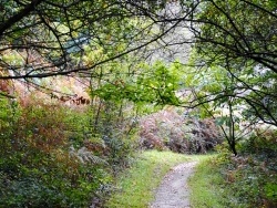 Photo paysage et monuments, Larmor-Plage - Randonnée d'Automne