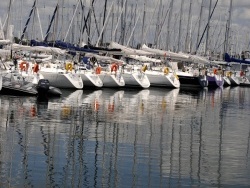 Photo paysage et monuments, Larmor-Plage - En file indienne