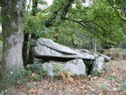 Photo paysage et monuments, Plouray - Dolmen de Guidfosse