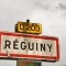 reguiny (56500)