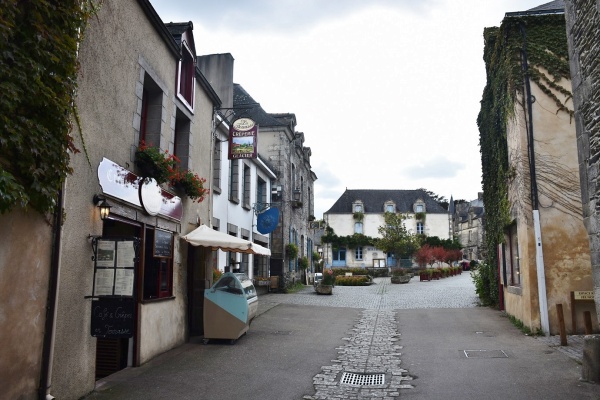 Photo Rochefort-en-Terre - la commune